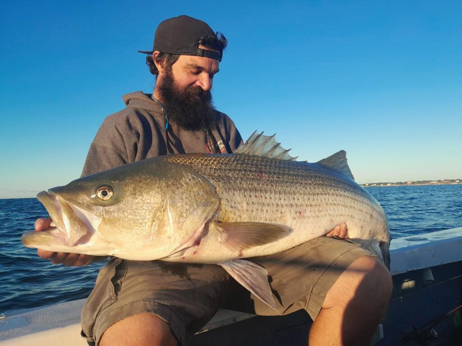 STRIPED BASS: Jeff Sullivan, an associate at Lucky Bait & Tackle, Warren, with the 53-pound striped bass and caught and released off Newport this weekend using a top water lure. (Submitted photos)